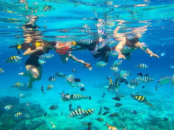 Snorkeling At Hon Mun And Mini Beach